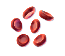Blutgruppendiät – hilft sie wirklich ?
